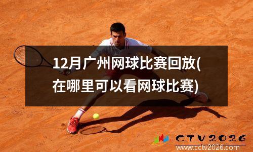 12月广州网球比赛回放(在哪里可以看网球比赛)