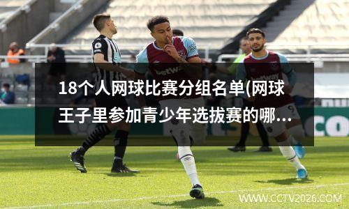 18个人网球比赛分组名单(网球王子里参加青少年选拔赛的哪些人)