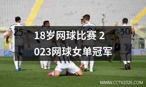 18岁网球比赛 2023网球女单冠军