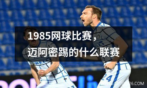 1985网球比赛，迈阿密踢的什么联赛