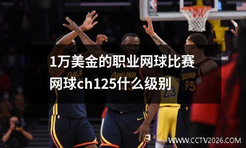 1万美金的职业网球比赛 网球ch125什么级别