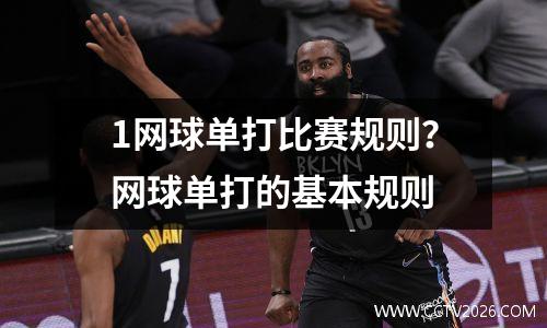 1网球单打比赛规则？网球单打的基本规则