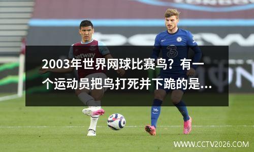 2003年世界网球比赛鸟？有一个运动员把鸟打死并下跪的是谁