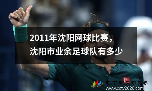 2011年沈阳网球比赛，沈阳市业余足球队有多少