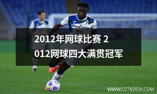 2012年网球比赛 2012网球四大满贯冠军
