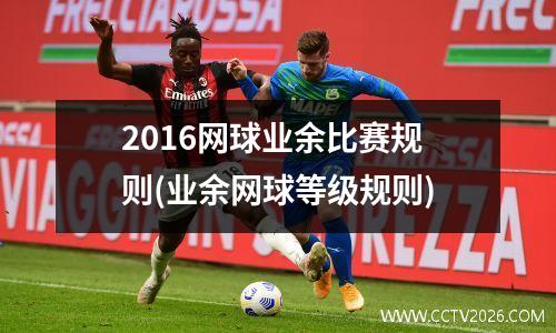2016网球业余比赛规则(业余网球等级规则)