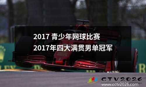2017 青少年网球比赛 2017年四大满贯男单冠军