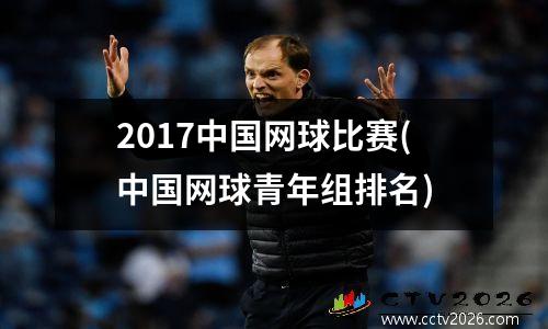 2017中国网球比赛(中国网球青年组排名)