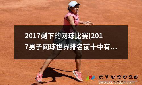 2017剩下的网球比赛(2017男子网球世界排名前十中有哪几位退役)