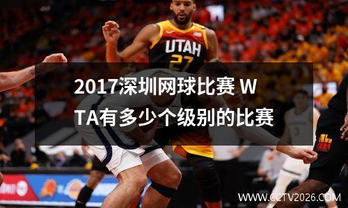 2017深圳网球比赛 WTA有多少个级别的比赛
