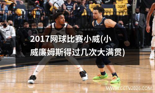 2017网球比赛小威(小威廉姆斯得过几次大满贯)