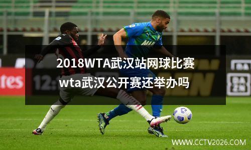 2018WTA武汉站网球比赛 wta武汉公开赛还举办吗