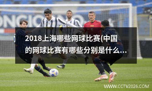 2018上海哪些网球比赛(中国的网球比赛有哪些分别是什么级别)