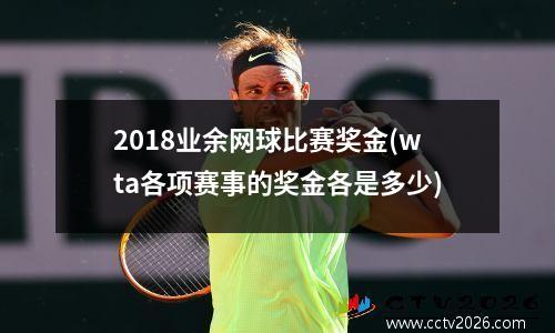 2018业余网球比赛奖金(wta各项赛事的奖金各是多少)