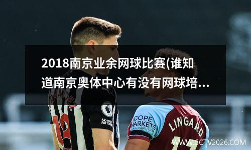 2018南京业余网球比赛(谁知道南京奥体中心有没有网球培训的)