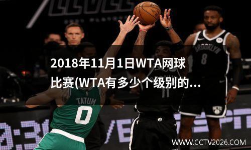 2018年11月1日WTA网球比赛(WTA有多少个级别的比赛)