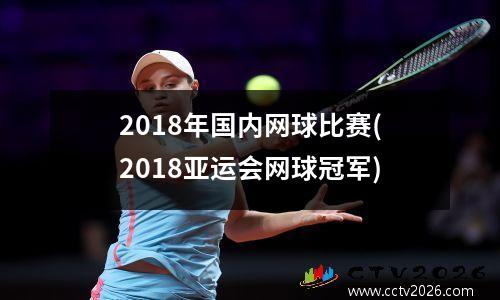 2018年国内网球比赛(2018亚运会网球冠军)