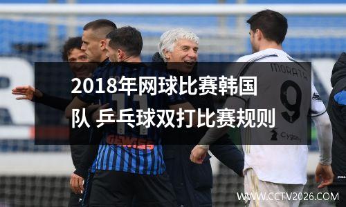 2018年网球比赛韩国队 乒乓球双打比赛规则
