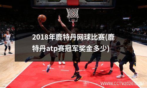 2018年鹿特丹网球比赛(鹿特丹atp赛冠军奖金多少)