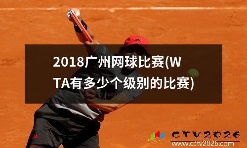 2018广州网球比赛(WTA有多少个级别的比赛)