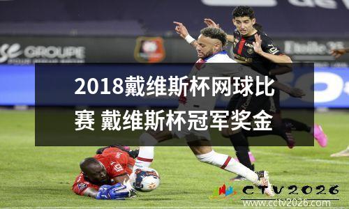 2018戴维斯杯网球比赛 戴维斯杯冠军奖金