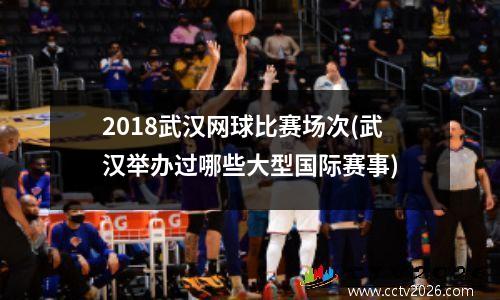2018武汉网球比赛场次(武汉举办过哪些大型国际赛事)
