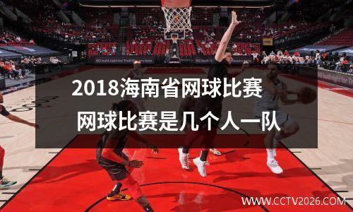 2018海南省网球比赛 网球比赛是几个人一队