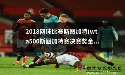 2018网球比赛斯图加特(wta500斯图加特赛决赛奖金多少)