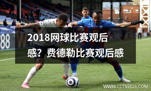 2018网球比赛观后感？费德勒比赛观后感