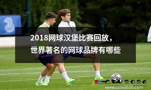 2018网球汉堡比赛回放，世界著名的网球品牌有哪些
