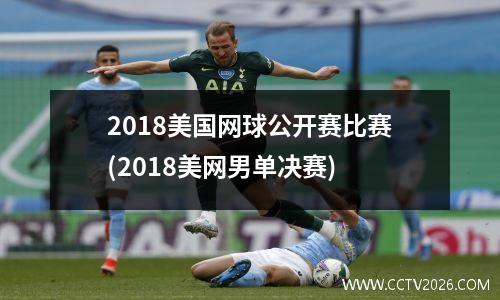 2018美国网球公开赛比赛(2018美网男单决赛)