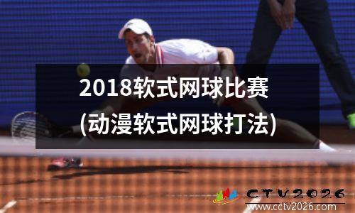 2018软式网球比赛(动漫软式网球打法)