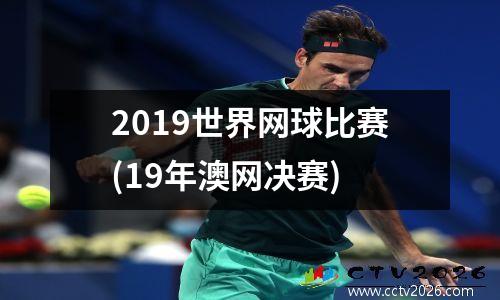 2019世界网球比赛(19年澳网决赛)