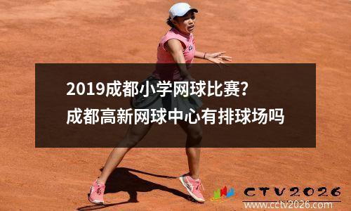 2019成都小学网球比赛？成都高新网球中心有排球场吗