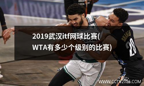 2019武汉itf网球比赛(WTA有多少个级别的比赛)