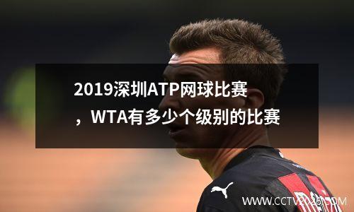 2019深圳ATP网球比赛，WTA有多少个级别的比赛