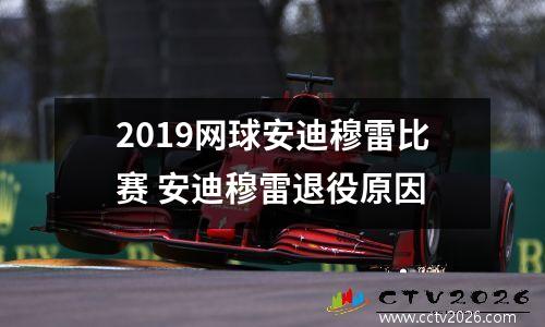 2019网球安迪穆雷比赛 安迪穆雷退役原因