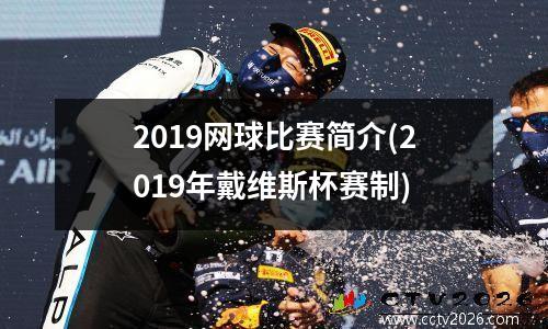 2019网球比赛简介(2019年戴维斯杯赛制)