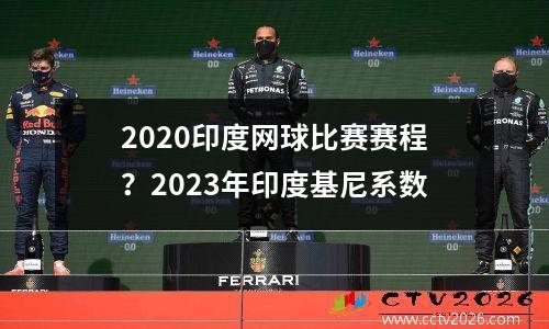 2020印度网球比赛赛程？2023年印度基尼系数