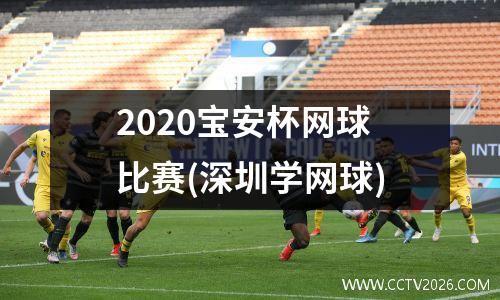 2020宝安杯网球比赛(深圳学网球)