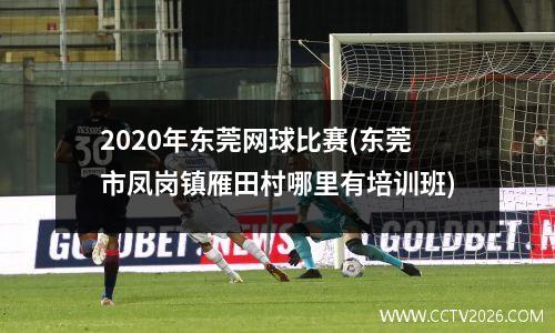 2020年东莞网球比赛(东莞市凤岗镇雁田村哪里有培训班)