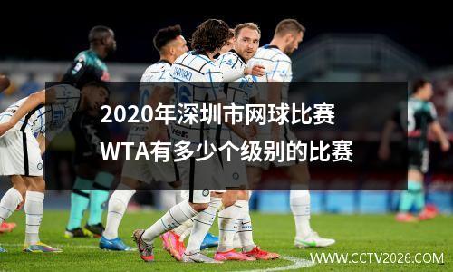 2020年深圳市网球比赛 WTA有多少个级别的比赛