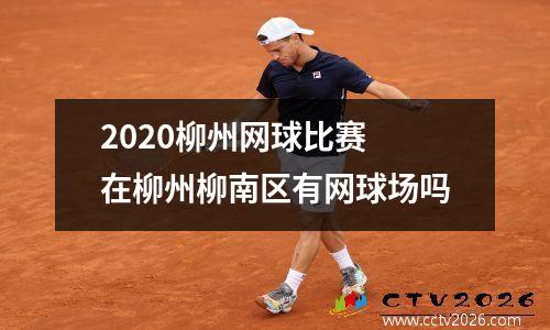 2020柳州网球比赛 在柳州柳南区有网球场吗