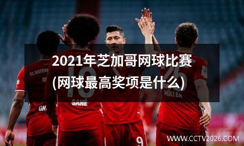 2021年芝加哥网球比赛(网球最高奖项是什么)