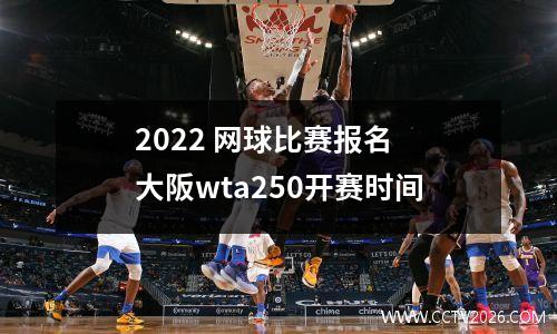 2022 网球比赛报名 大阪wta250开赛时间