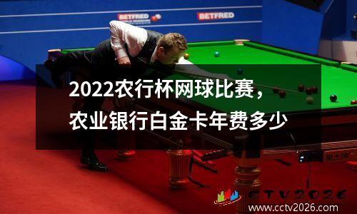2022农行杯网球比赛，农业银行白金卡年费多少