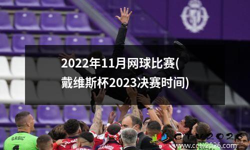2022年11月网球比赛(戴维斯杯2023决赛时间)