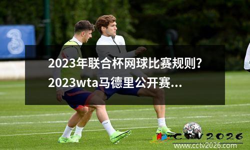 2023年联合杯网球比赛规则？2023wta马德里公开赛赛程