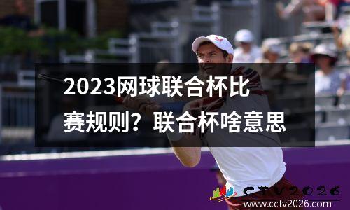 2023网球联合杯比赛规则？联合杯啥意思