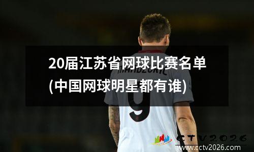 20届江苏省网球比赛名单(中国网球明星都有谁)